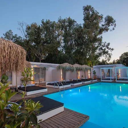 Bamboo - Adults Only 4* Jaliszósz